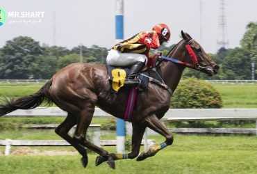 شرط بندی اسب سواری