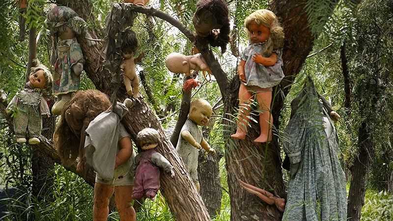 جنگل های ترسناک